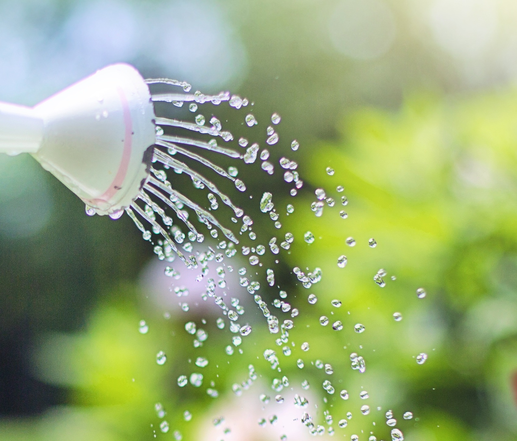watering-2389940